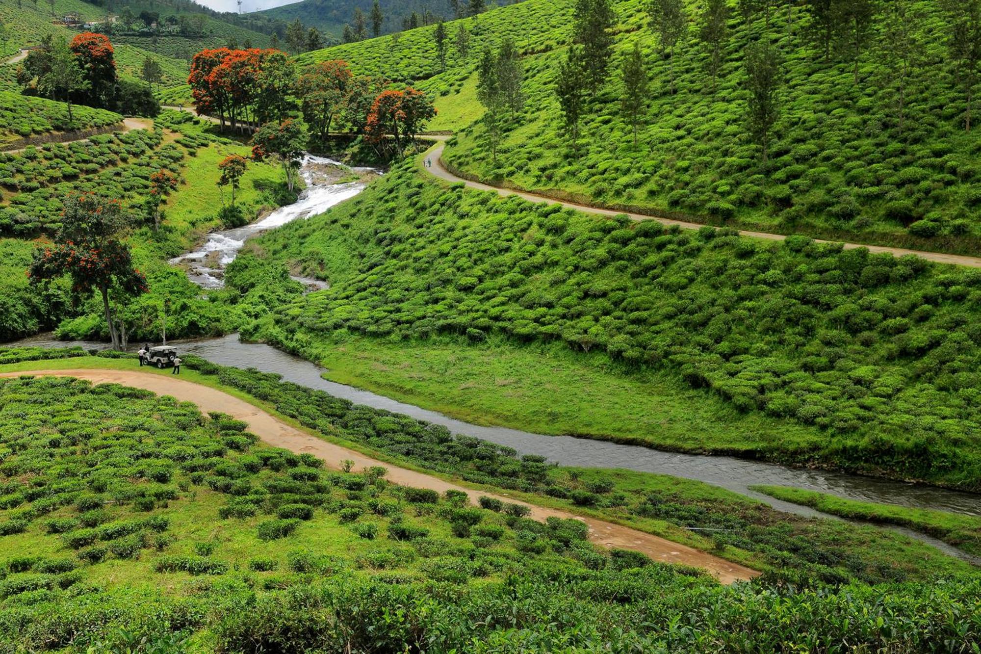 Spicegreen Homestay,Теккади Экстерьер фото